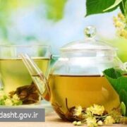 این دمنوش های گیاهی برای آنفولانزا مفیدند اما زیاد مصرف نکنید!