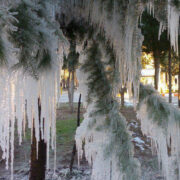 بارش برف و باران در ۱۴ استان؛ یخبندان در راه است