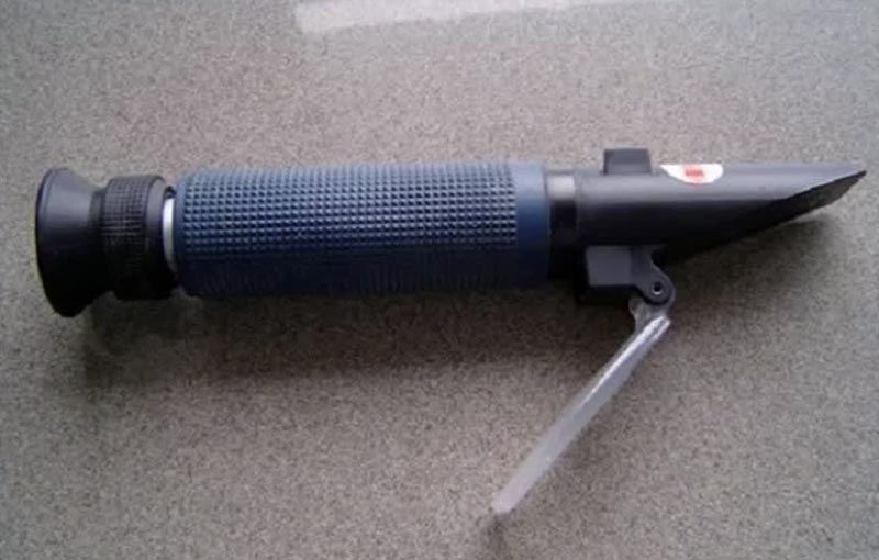 برداشت علمی میوه کیوی کلید حفظ اعتبار جهانی محصول ایرانی است/لزوم رعایت زمان مناسب برداشت کیوی رقم هایوارد برای حفظ کیفیت و اعتبار صادرات