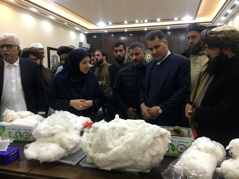 بررسی راهکارهای تسهیل تجارت محصولات زراعی افغانستان به ایران