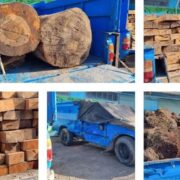 تشدید مقابله با قاچاق چوب در غرب مازندران