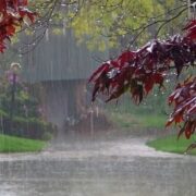 جان‌باختگان سیل خوزستان شناسایی شدند/جست‌وجو برای مفقودی ادامه دارد