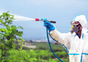 خطرات گسترده یک قارچ‌کش پرمصرف در کشاورزی