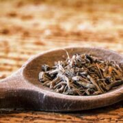 دردهای پس از زایمان را با «سنبل‌الطیب» درمان کنید