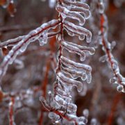 دمای تهران امشب به منفی ۲ درجه خواهد رسید