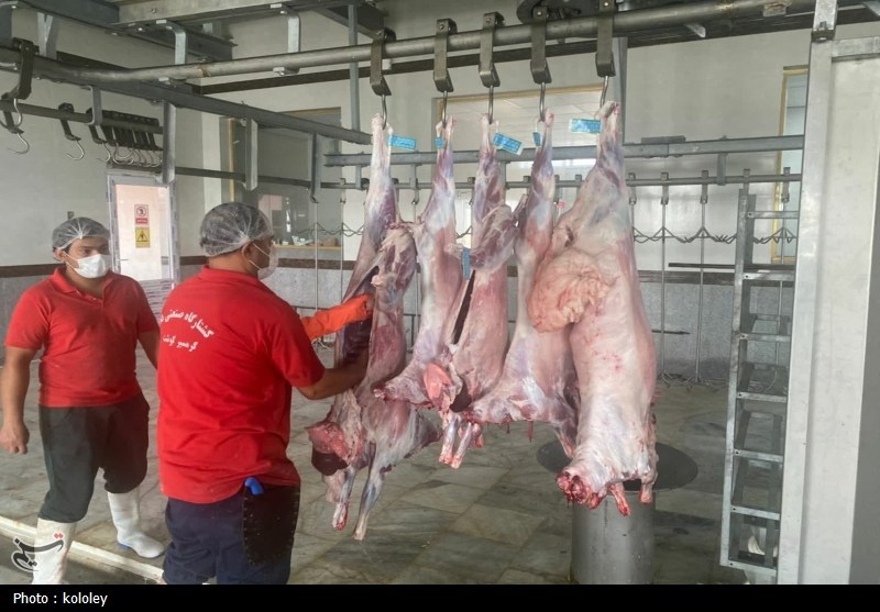 اخبار استان بوشهر , قیمت گوشت , اخبار بوشهر , 