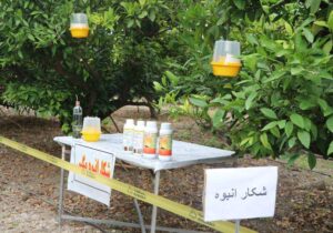 ردیابی و مدیریت آفت مگس میوه مدیترانه‌ای در باغ‌های بابل و قائم‌شهر