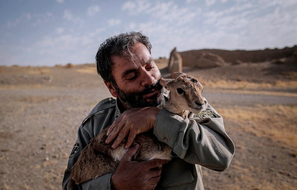 سازمان حفاظت محیط زیست 800 محیط‌بان جدید جذب کرد