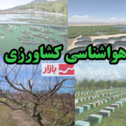 صدور هشدار نارنجی سازمان هواشناسی برای کشاورزان