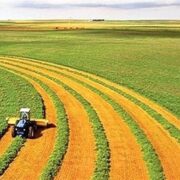 ضوابط کشت فراسرزمینی اعلام شد