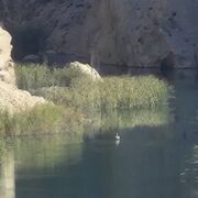 «نجات آب» ــ 49 | توسعه دانش بومی حفاظت از رواناب در اقوام ایرانی