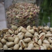 هسته‌ای در کشاورزی ــ 65 | دفع حشرات «پسته» با فناوری هسته‌ای