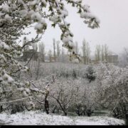 هشدار کاهش ۱۵ درجه‌ای دما در ۲۲ استان با نفوذ توده هوای سرد از فردا