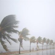 وزش تندباد بدون بارش زمستانی