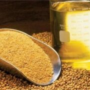 پیش بینی تولید 400 هزار تن دانه‌های روغنی