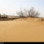 چین چگونه بیابان‌زایی را مهار کرد؟