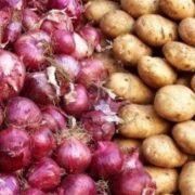 کمبودی در بازار میوه‌های ویژه شب یلدا وجود ندارد