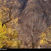 گردشگری کردستان؛ فرصتی مغفول و نیازمند توسعه هدفمند و پایدار