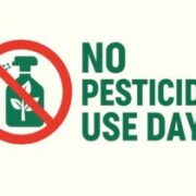 ۳ دسامبر: روز جهانی بدون سم + فیلم