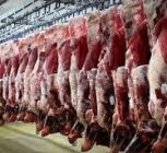 تامین کامل گوشت قرمز در بازار + قیمت