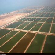 شهرک مولد شیلاتی تنگستان؛ گام بلند در جهش تولید و اقتصاد دریا‌محور