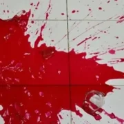 ماجرای هولناک از قتل دختر جوان توسط برادرش در شاهرود