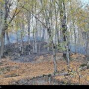 «نجات آب» ــ 52 | صیانت از پوشش گیاهی بالادست حوضه آبریز