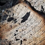 واکنش کاربران فضای مجازی به وحشی‌گری‌های اغتشاشگران مسلح