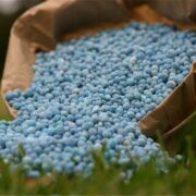 پرداخت یارانه ریالی کود به کشاورزان از سال آینده