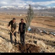 پویش نهال‌کاری به نیت حاج قاسم برگزار شد+تصاویر