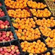 کیفیت در ذخیره‌‌سازی میوه شب عید اولویت اول است