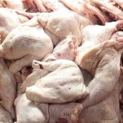 ورود روزانه 1800 تن مرغ به تهران/ قیمت‌ها کاهشی شد