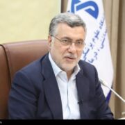 وزیر بهداشت: طرح نظام ارجاع را اصولی و با ثبات دنبال می‌کنیم