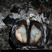 پروژه‌ای علیه هویت ایرانی