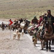 چالش‌ها و چشم‌انداز آینده زندگی عشایری؛ آیا کوچ عشایر باقی خواهد ماند؟