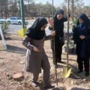 کاشت بیش از ۱.۴ میلیون اصله نهال در استان تهران/ ۳۹۸ هزار اصله نهال تا پایان اسفند توزیع می شود