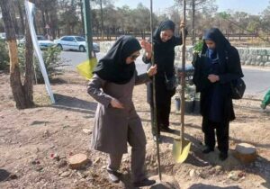 کاشت بیش از ۱.۴ میلیون اصله نهال در استان تهران/ ۳۹۸ هزار اصله نهال تا پایان اسفند توزیع می شود