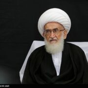 تأکید آیت‌الله نوری‌همدانی بر تسریع در انتخاب رهبری