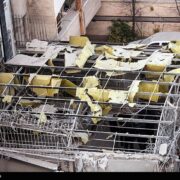 حملات موشکی اسرائیل به مناطق مسکونی و‌ تجاری پیرانشهر و مهاباد