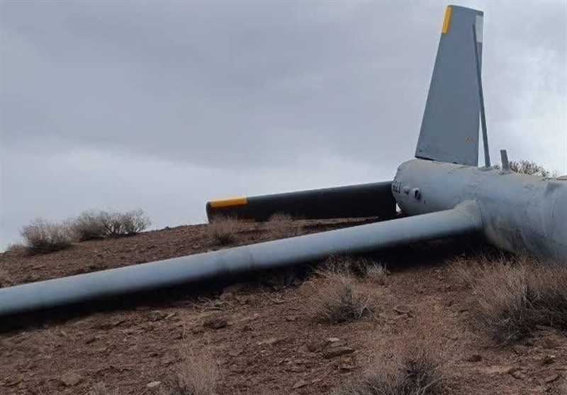 شکار پهپاد هرمس در بهمئی/ پهپاد سالم به زمین نشانده شد