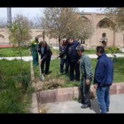 غرس ۱۰۰ اصله نهال در محوطه بقعه تاریخی شیخ کلخوران اردبیل
