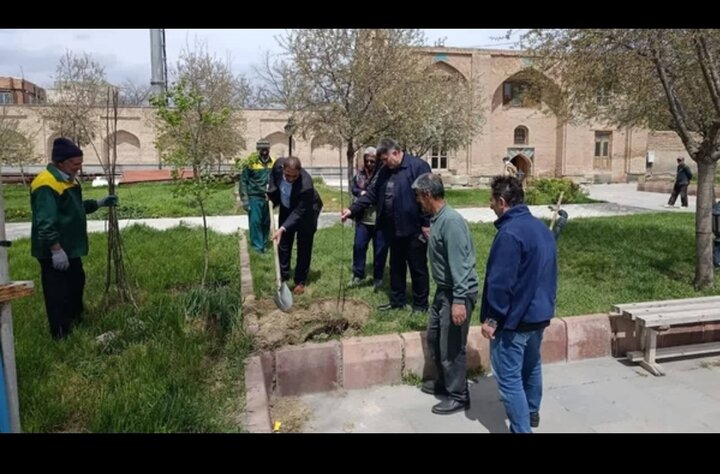 غرس ۱۰۰ اصله نهال در محوطه بقعه تاریخی شیخ کلخوران اردبیل