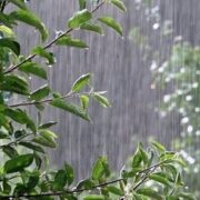 فردا رگبار بهاری همه استان اصفهان را در برمی‌گیرد