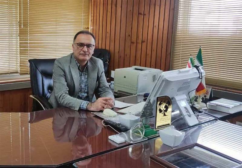 برداشت تنها نیم درصد حجم درختان شکسته و افتاده در جنگل هیرکانی