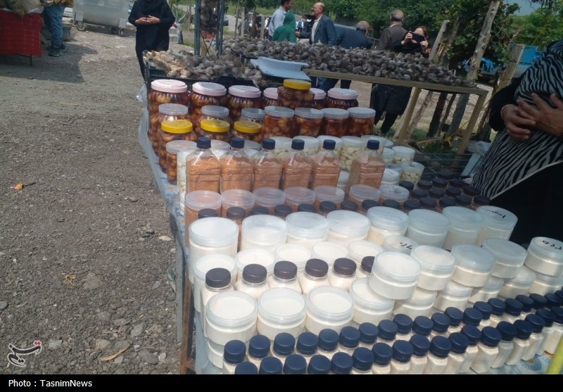 اخبار استان مازندران , اخبار ساری , 