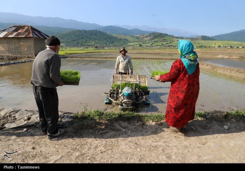 اخبار استان مازندران , اخبار ساری , 