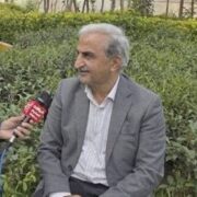 پیش‌بینی خرید 120 هزار تن برگ سبز چای‌ از باغداران ‌گیلان و مازندران