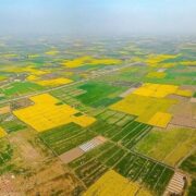 13 سال ‌تنش بر سر 150 هکتار ‌اراضی کشاورزی/ سنگ‌پرانی ‌سودجویان!