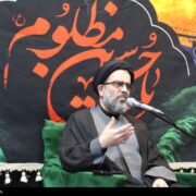 اربعین نمایش بلوغ و آگاهی امت حسینی است