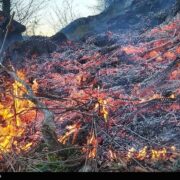 ببینید| آتش‌سوزی در جنگل‌های بهشهر/ هیرکانی دوباره می‌سوزد!